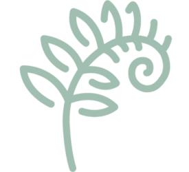 fern