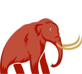 mastadon