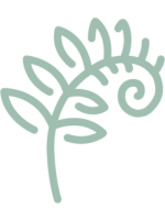 fern