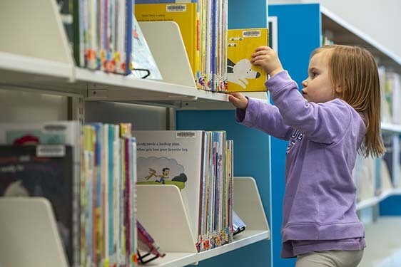 A small child pulls a book from the book shelf.